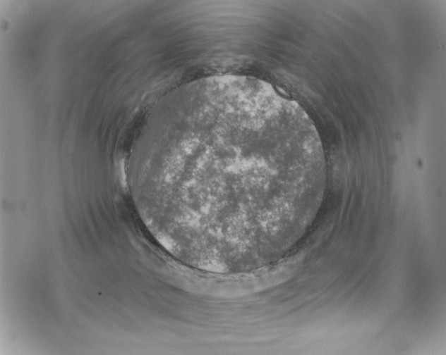 X0000072970042200608111727