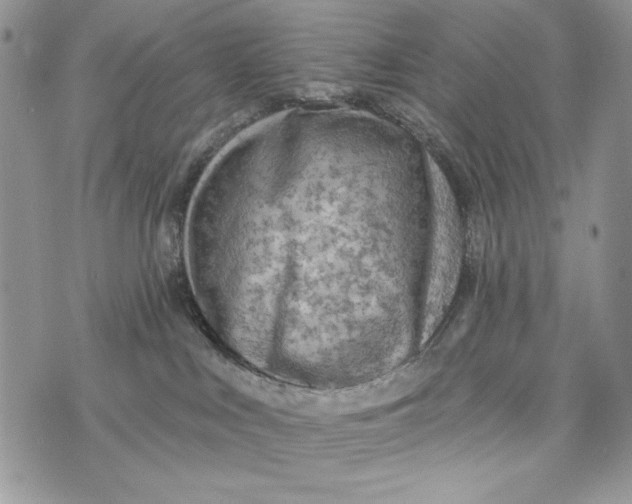 X0000072970043200608111727