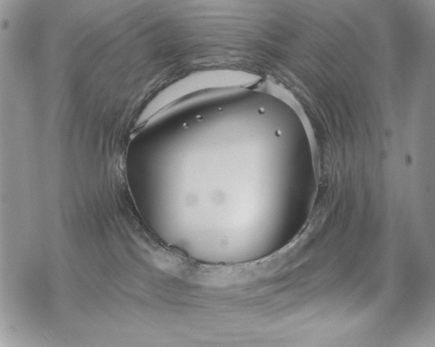 X0000072970045200608111727