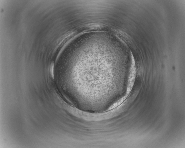 X0000072970047200608111727