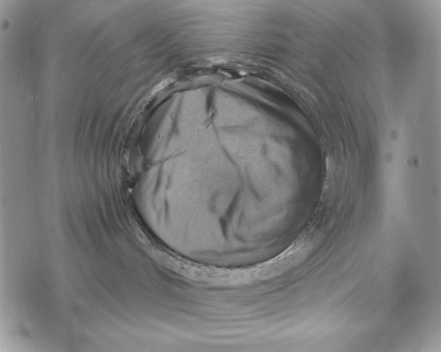 X0000072970048200608111727