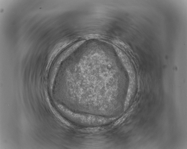 X0000072970049200608111726