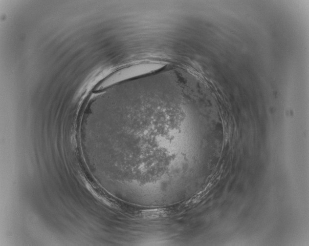 X0000072970050200608111726