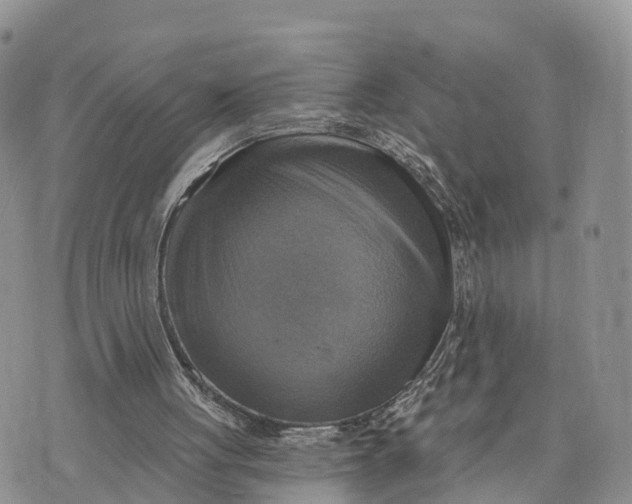 X0000072970051200608111726