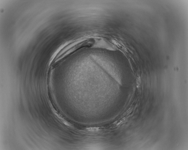 X0000072970052200608111726