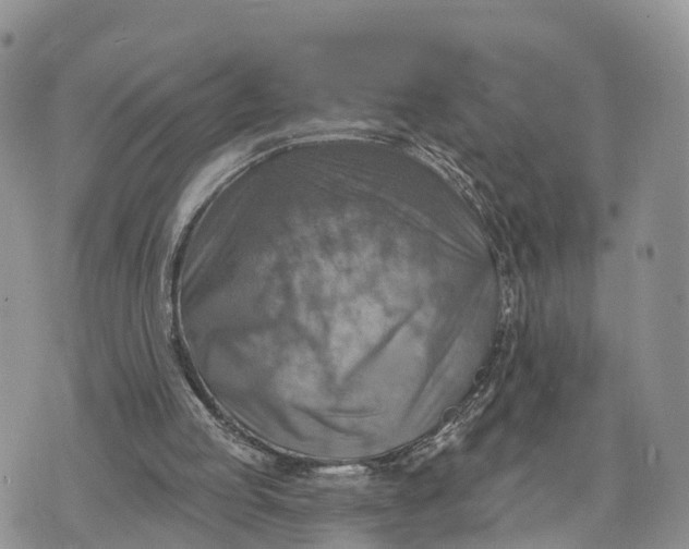 X0000072970053200608111726