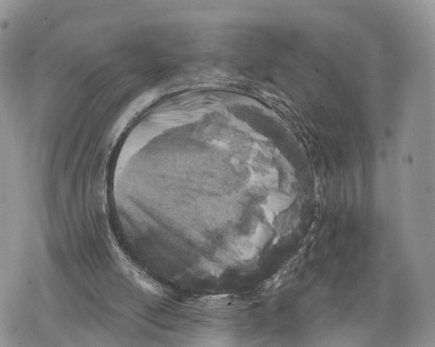 X0000072970054200608111726