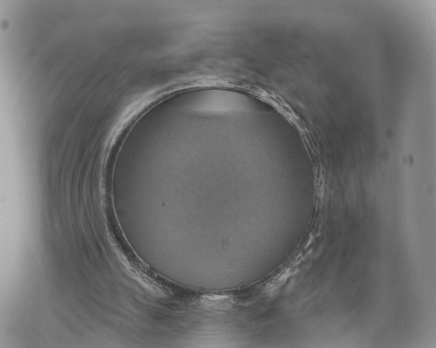 X0000072970055200608111726