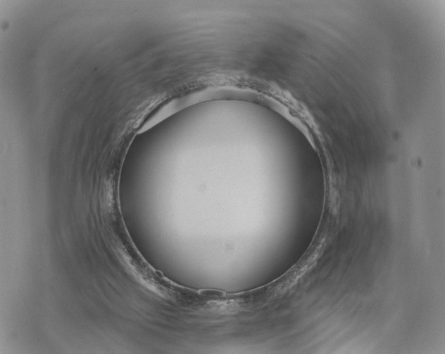 X0000072970057200608111726