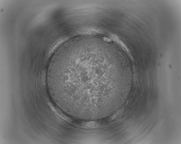 X0000072970058200608111726