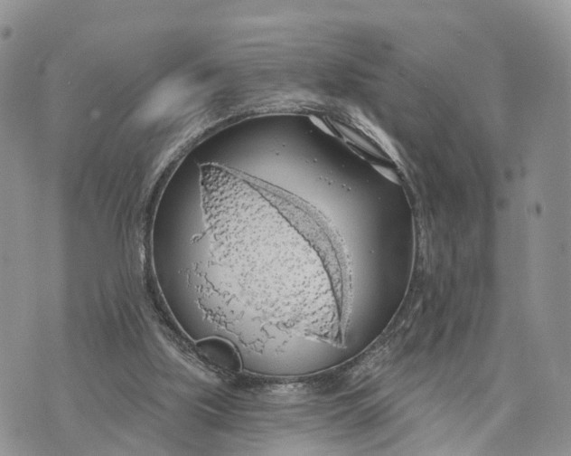 X0000072970059200608111726