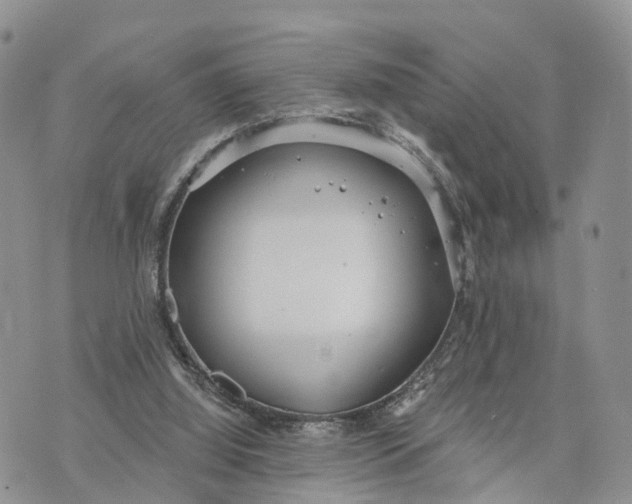 X0000072970060200608111726