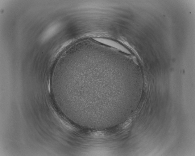 X0000072970062200608111726