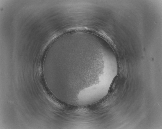 X0000072970063200608111726