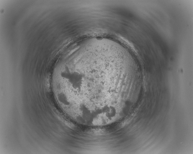 X0000072970065200608111726