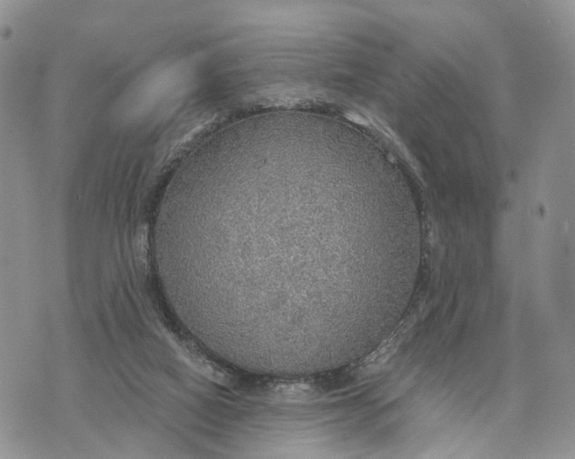 X0000072970066200608111726