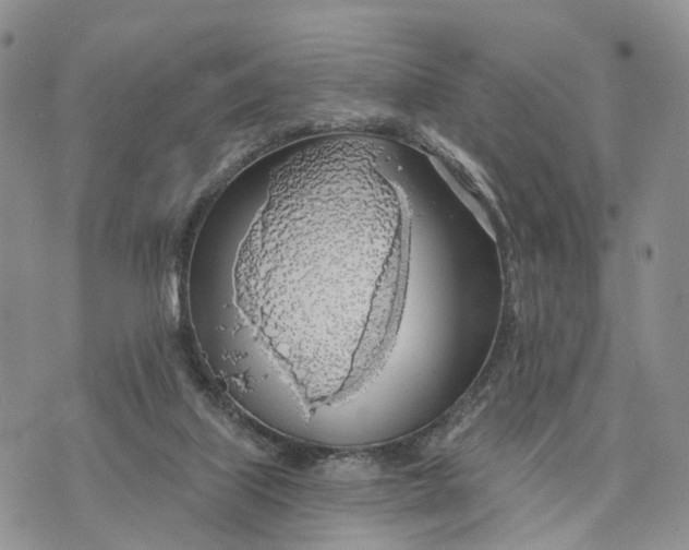 X0000072970067200608111727