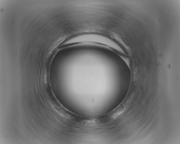 X0000072970068200608111727