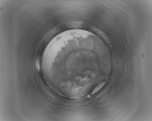 X0000072970069200608111727