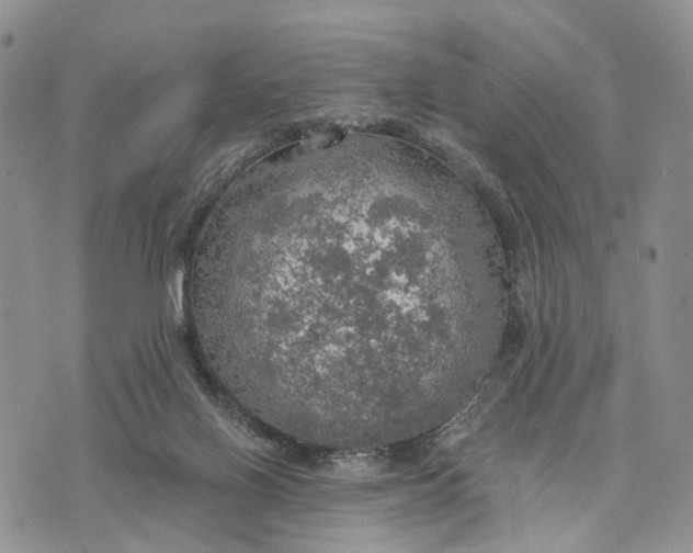 X0000072970070200608111727