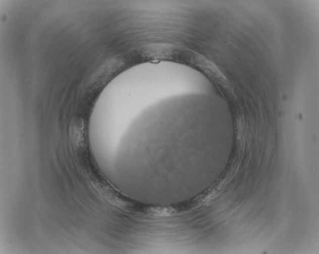 X0000072970073200608111727