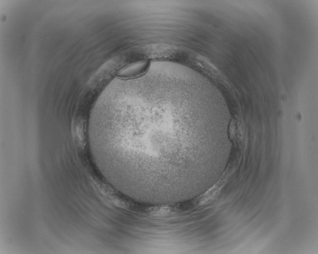 X0000072970074200608111727