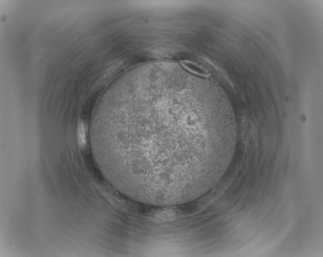 X0000072970075200608111727