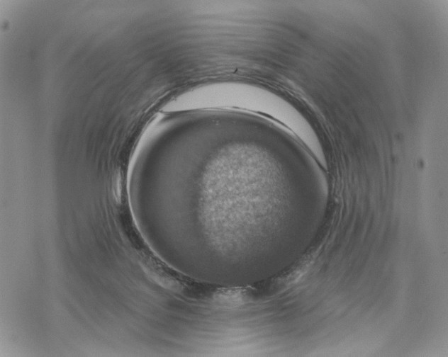 X0000072970076200608111727