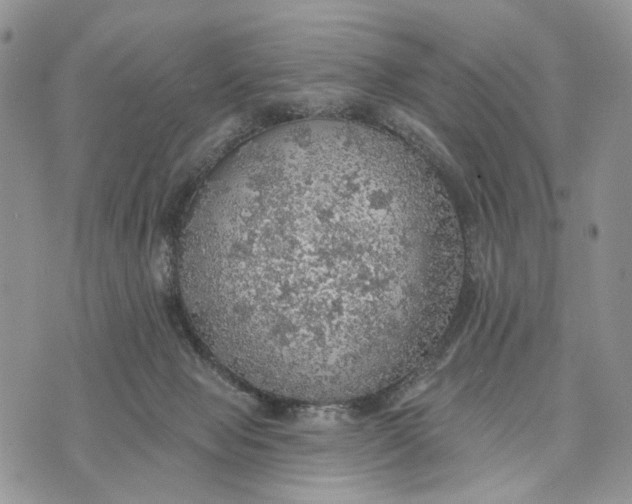 X0000072970077200608111727