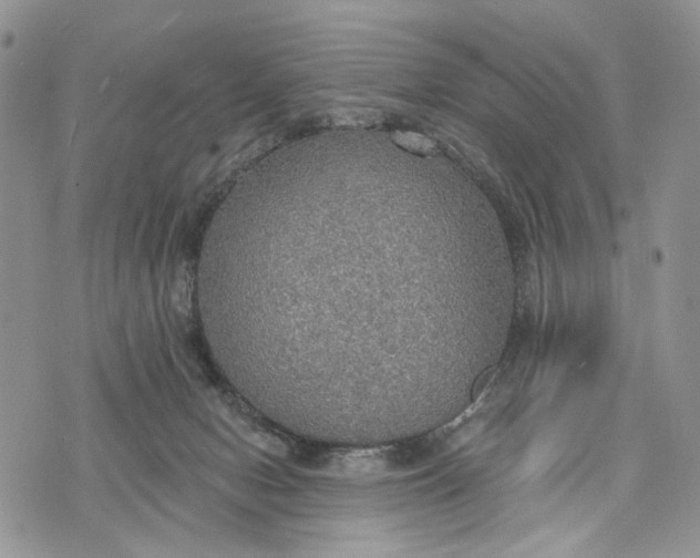 X0000072970078200608111727