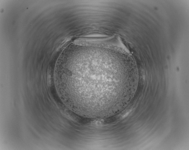 X0000072970080200608111727