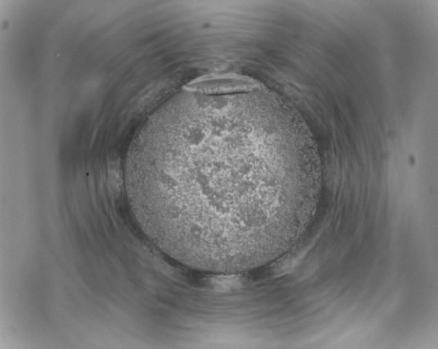 X0000072970085200608111727