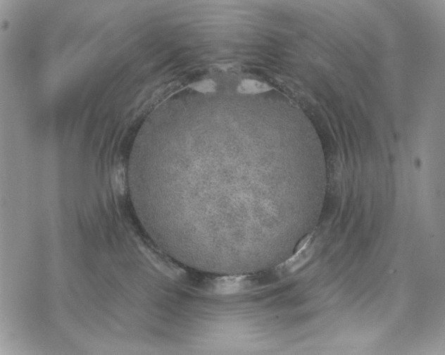 X0000072970090200608111727