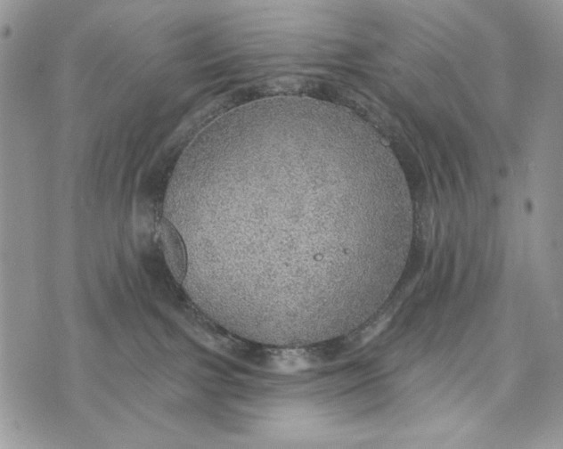 X0000072970091200608111727