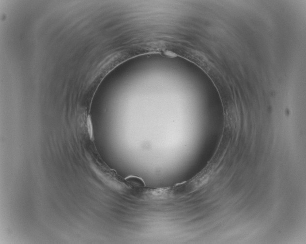 X0000072970092200608111727