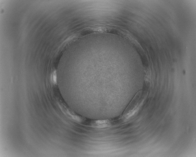 X0000072970095200608111727