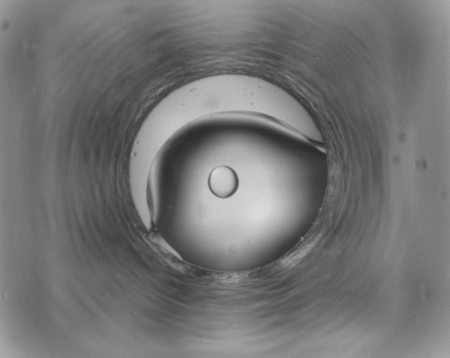 X0000072970096200608111727