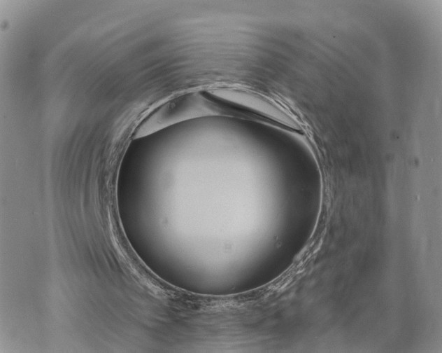 X0000072970097200608111726