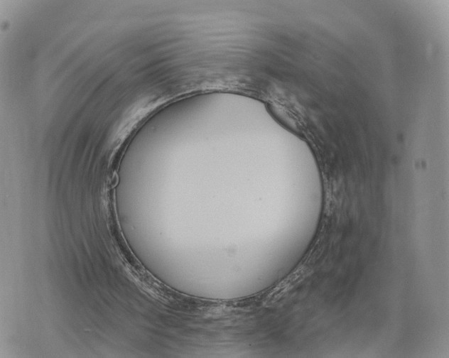 X0000072970098200608111726