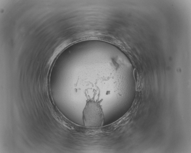 X0000072970099200608111726