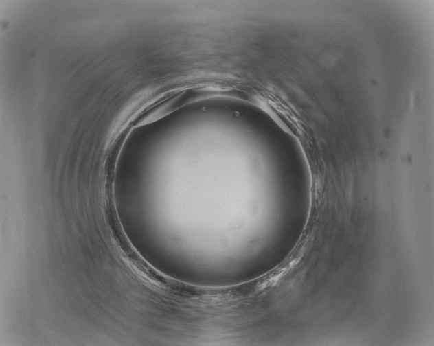 X0000072970101200608111726