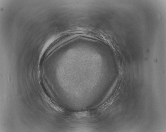 X0000072970102200608111726