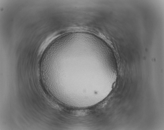 X0000072970103200608111726