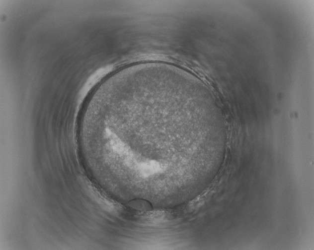 X0000072970104200608111726