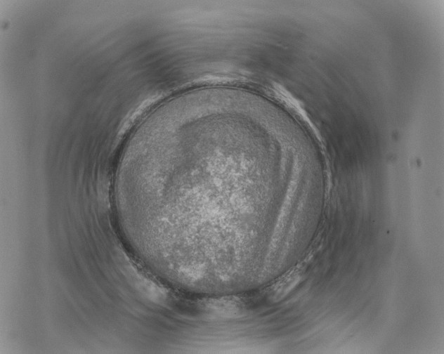 X0000072970106200608111726