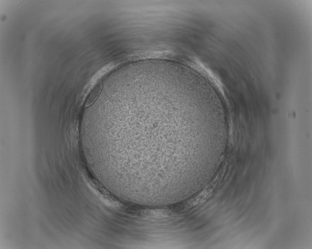 X0000072970107200608111726