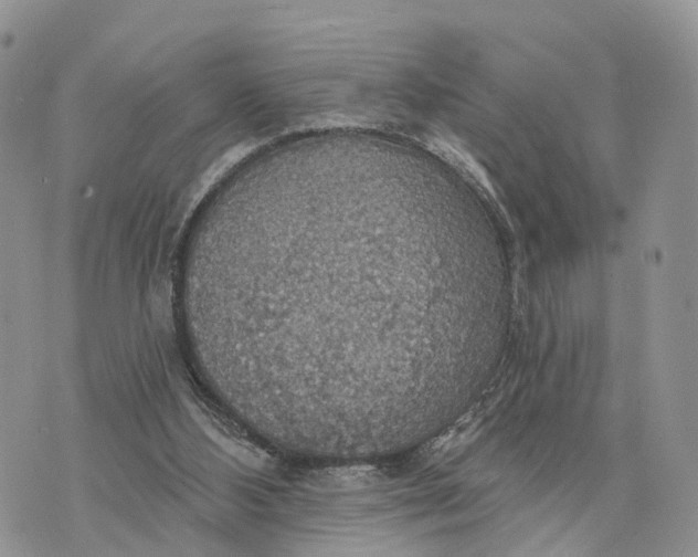 X0000072970108200608111726