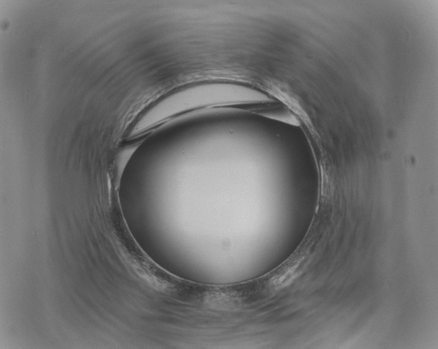 X0000072970109200608111726