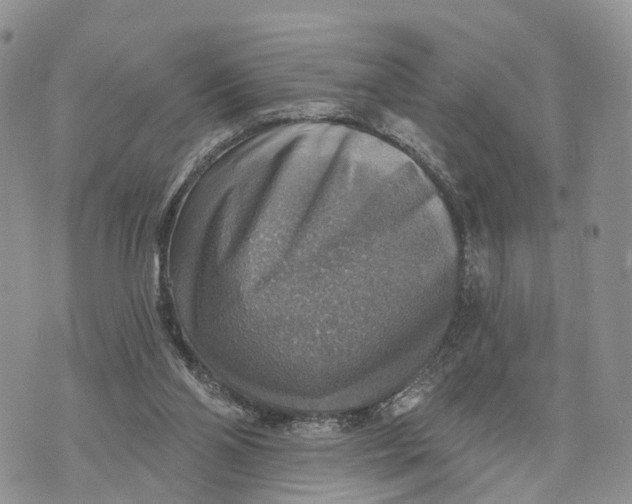 X0000072970110200608111726