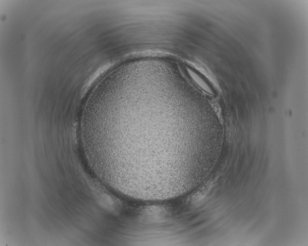 X0000072970111200608111726